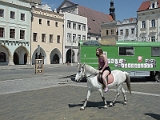 Erica Riding Horse In Ceske Budejovice 2